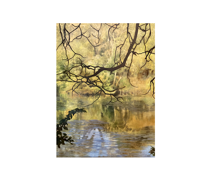 <b>Branches au dessus de l'étang <br><b>Huile sur toile - 130x97cm